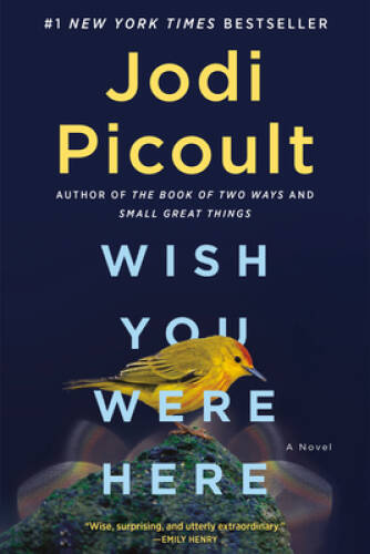 Wish you were - a, novel